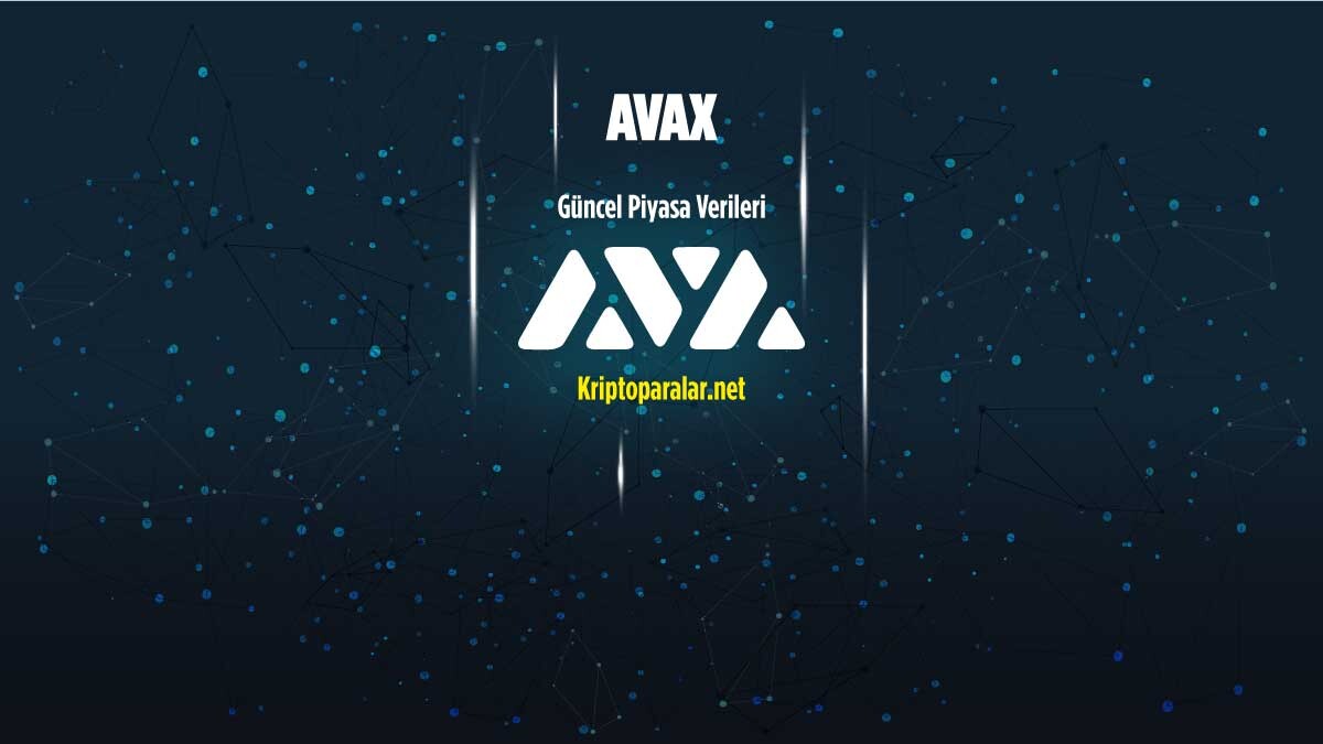 Avax Coin Güncel Fiyat